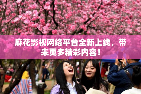 麻花影视网络平台全新上线，带来更多精彩内容！