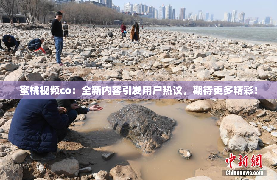 蜜桃视频co：全新内容引发用户热议，期待更多精彩！