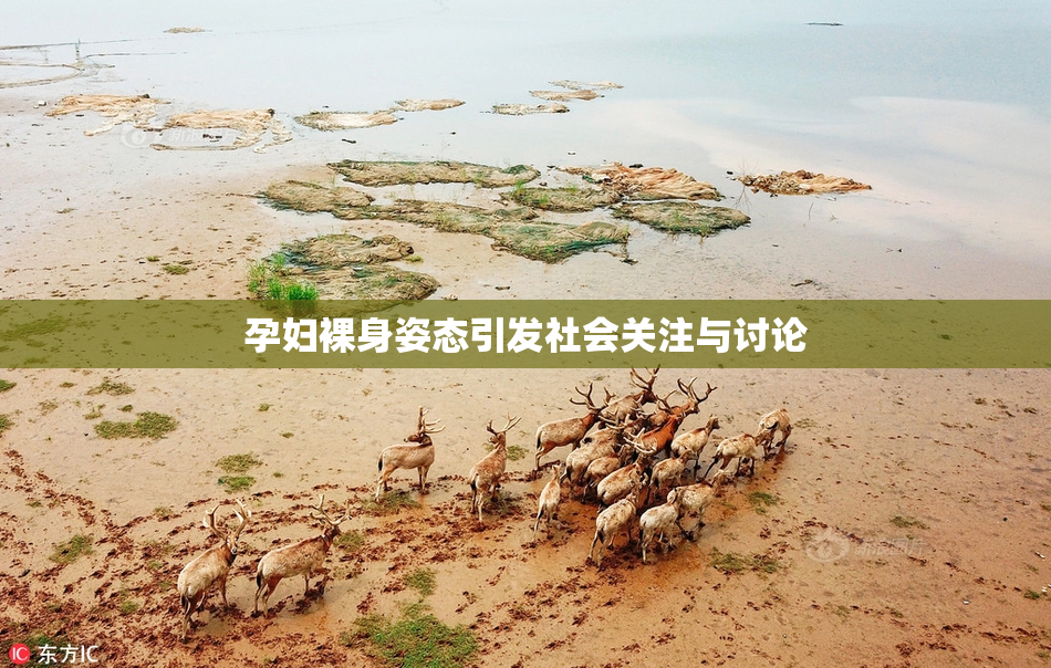 孕妇裸身姿态引发社会关注与讨论