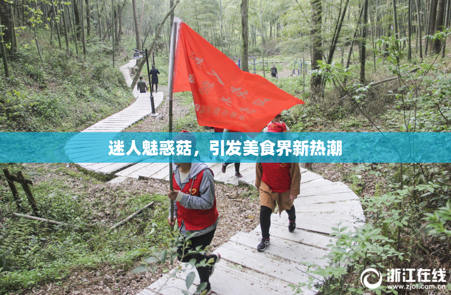迷人魅惑菇，引发美食界新热潮