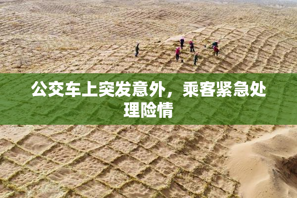 公交车上突发意外，乘客紧急处理险情