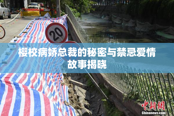 樱校病娇总裁的秘密与禁忌爱情故事揭晓