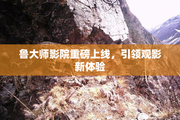 鲁大师影院重磅上线，引领观影新体验