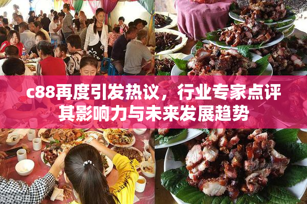 c88再度引发热议，行业专家点评其影响力与未来发展趋势