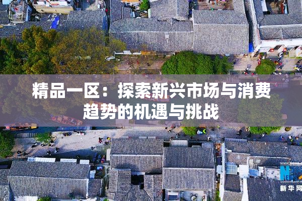 精品一区：探索新兴市场与消费趋势的机遇与挑战