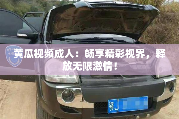 黄瓜视频成人：畅享精彩视界，释放无限激情！