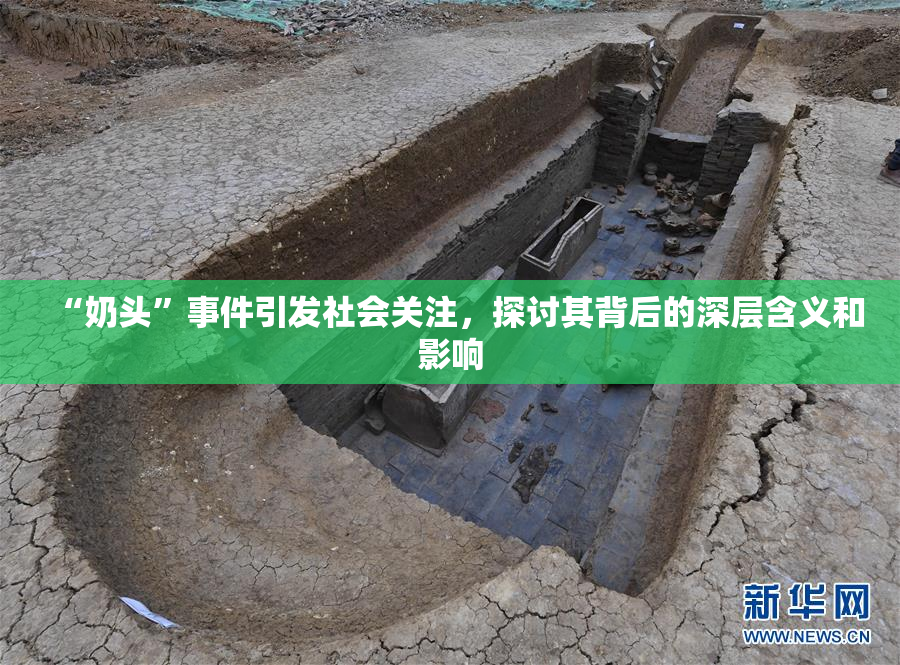 “奶头”事件引发社会关注，探讨其背后的深层含义和影响