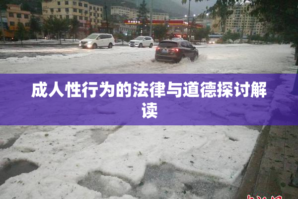 成人性行为的法律与道德探讨解读