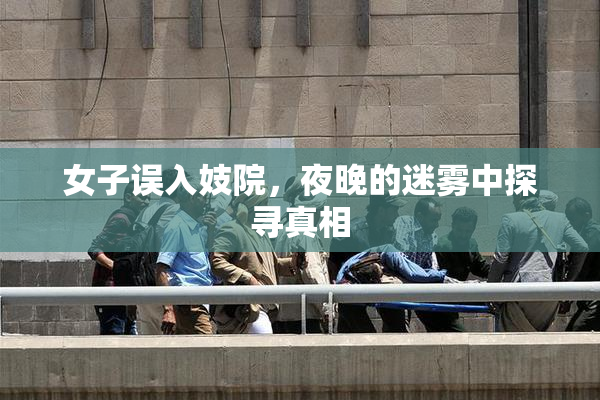 女子误入妓院，夜晚的迷雾中探寻真相