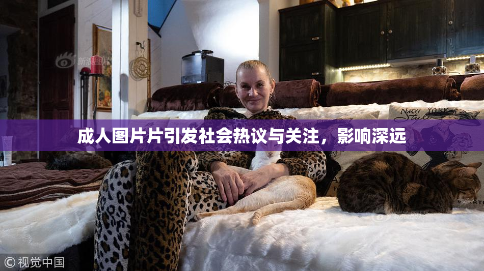 成人图片片引发社会热议与关注，影响深远