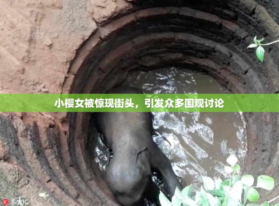 小樱女被惊现街头，引发众多围观讨论