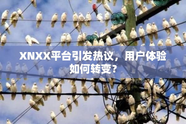 XNXX平台引发热议，用户体验如何转变？