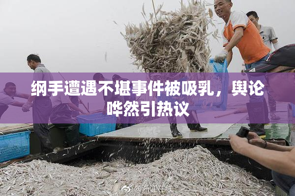 纲手遭遇不堪事件被吸乳，舆论哗然引热议