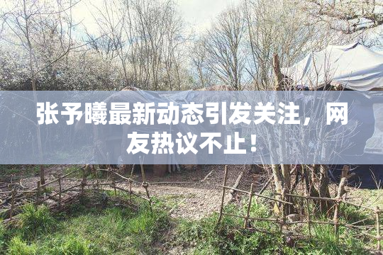 张予曦最新动态引发关注，网友热议不止！