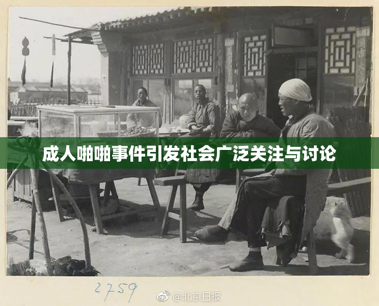 成人啪啪事件引发社会广泛关注与讨论