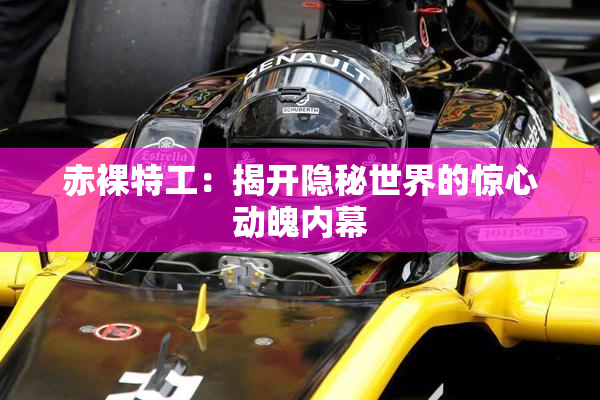 赤裸特工：揭开隐秘世界的惊心动魄内幕