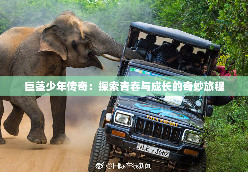 巨茎少年传奇：探索青春与成长的奇妙旅程
