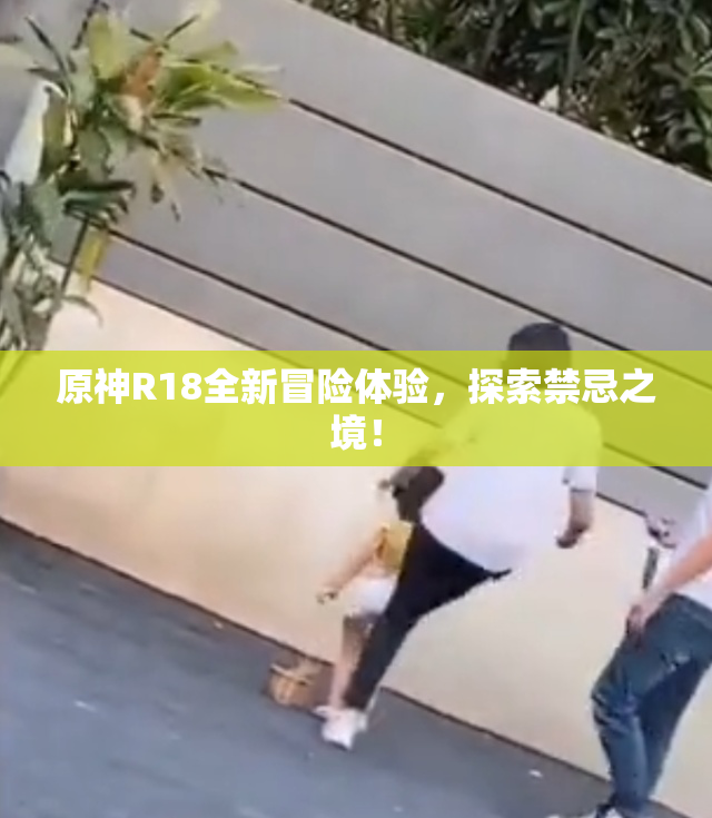 原神R18全新冒险体验，探索禁忌之境！