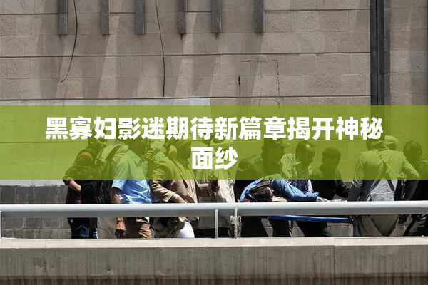 黑寡妇影迷期待新篇章揭开神秘面纱