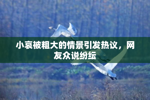 小哀被粗大的情景引发热议，网友众说纷纭