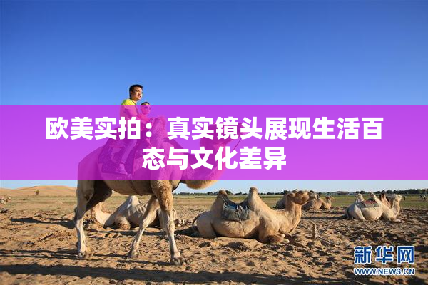 欧美实拍：真实镜头展现生活百态与文化差异