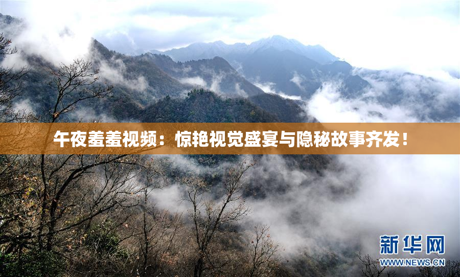 午夜羞羞视频：惊艳视觉盛宴与隐秘故事齐发！