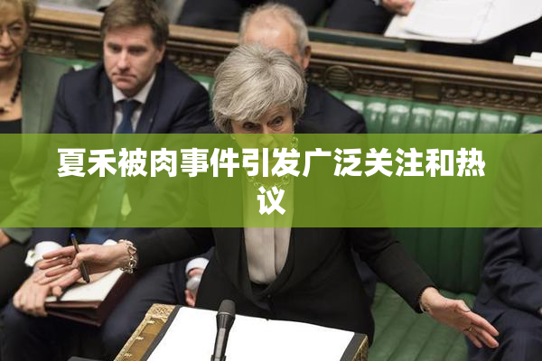 夏禾被肉事件引发广泛关注和热议