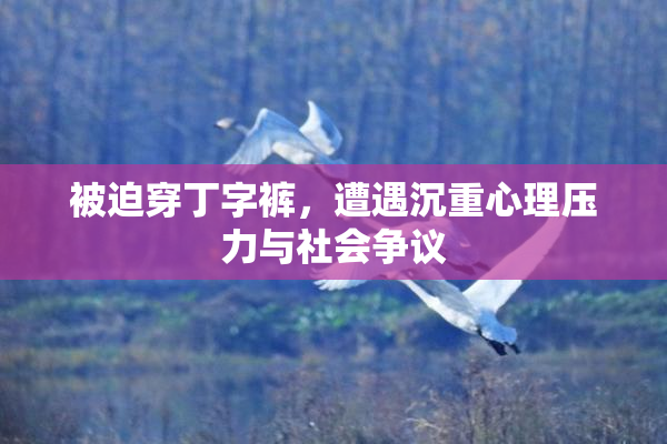 被迫穿丁字裤，遭遇沉重心理压力与社会争议