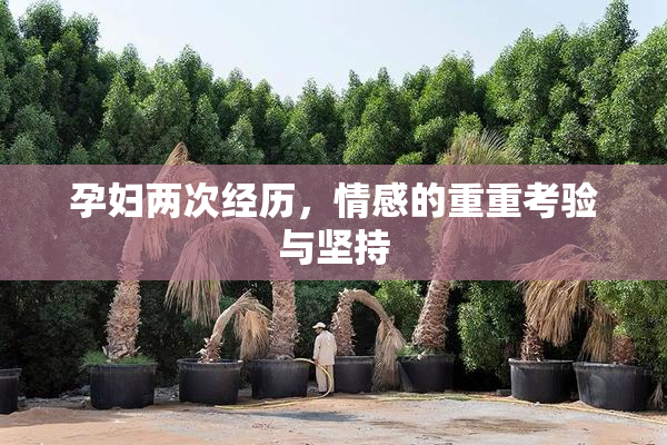 孕妇两次经历，情感的重重考验与坚持