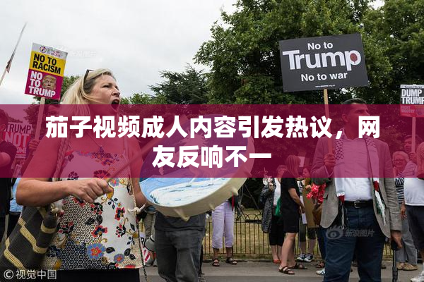 茄子视频成人内容引发热议，网友反响不一