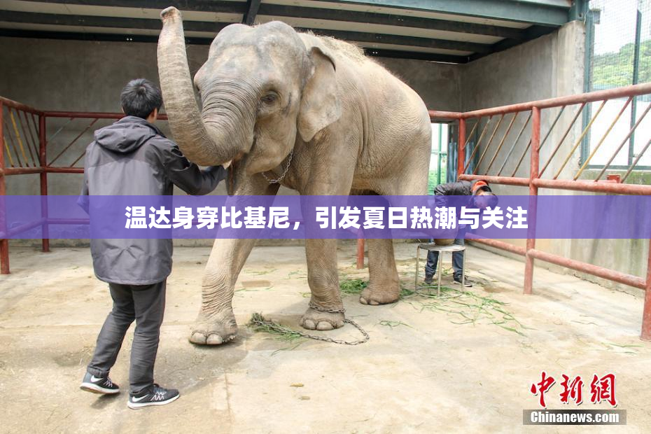 温达身穿比基尼，引发夏日热潮与关注