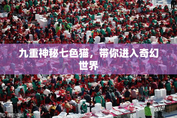 九重神秘七色猫，带你进入奇幻世界