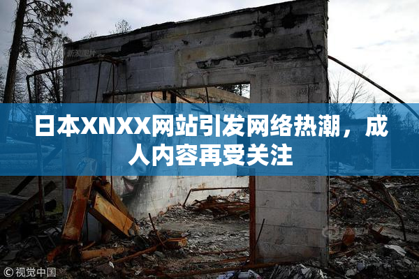 日本XNXX网站引发网络热潮，成人内容再受关注