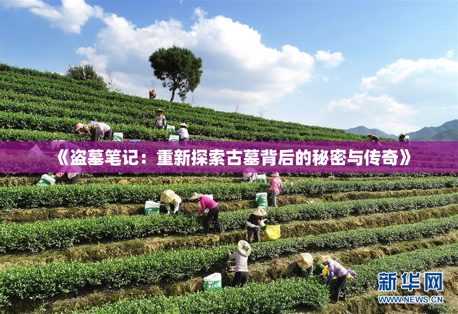《盗墓笔记：重新探索古墓背后的秘密与传奇》