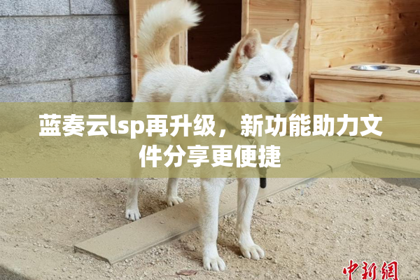 蓝奏云lsp再升级，新功能助力文件分享更便捷