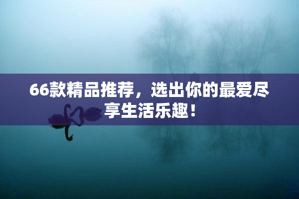 66款精品推荐，选出你的最爱尽享生活乐趣！