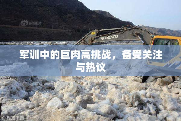 军训中的巨肉高挑战，备受关注与热议