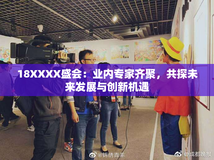18XXXX盛会：业内专家齐聚，共探未来发展与创新机遇