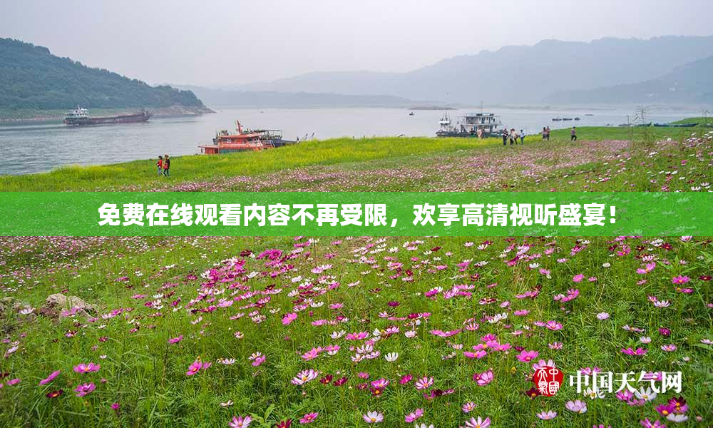 免费在线观看内容不再受限，欢享高清视听盛宴！