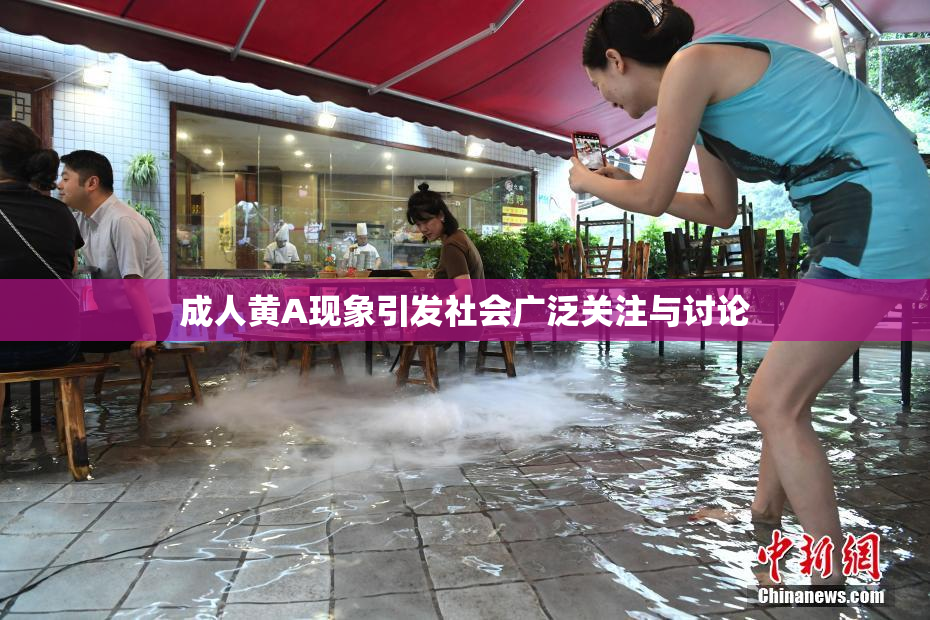 成人黄A现象引发社会广泛关注与讨论