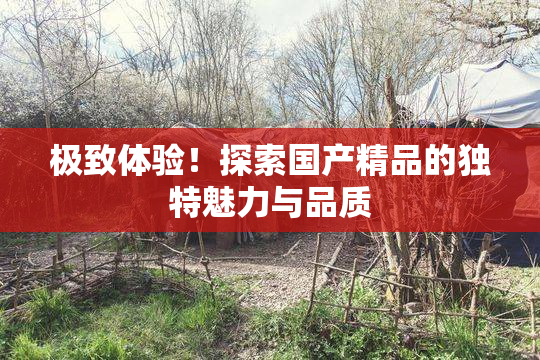 极致体验！探索国产精品的独特魅力与品质