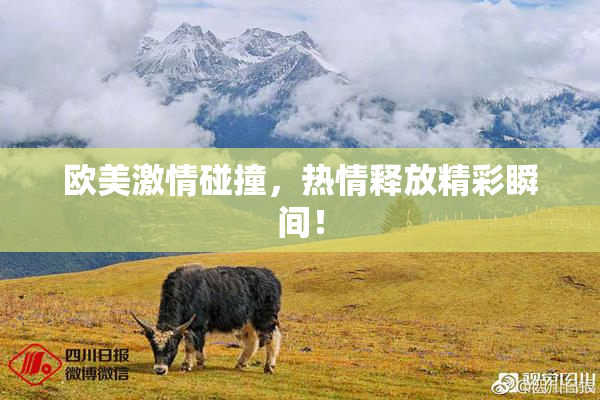 欧美激情碰撞，热情释放精彩瞬间！