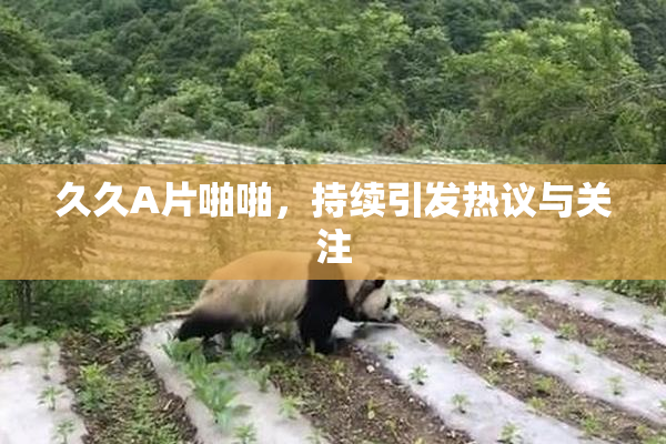 久久A片啪啪，持续引发热议与关注