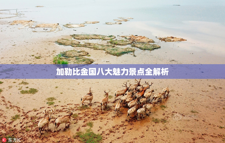 加勒比金国八大魅力景点全解析