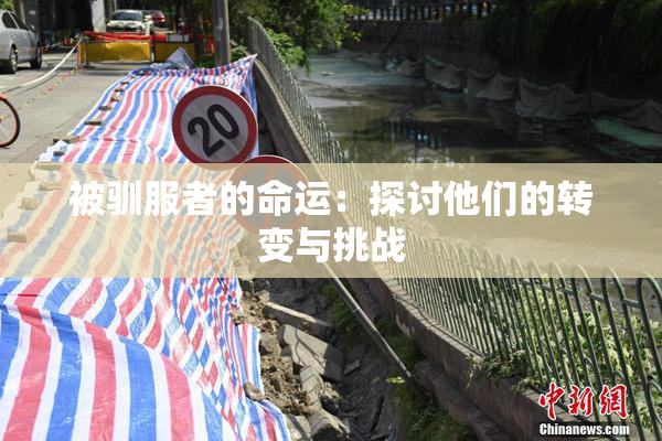 被驯服者的命运：探讨他们的转变与挑战