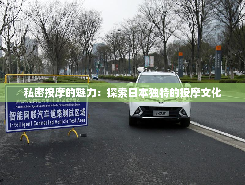 私密按摩的魅力：探索日本独特的按摩文化
