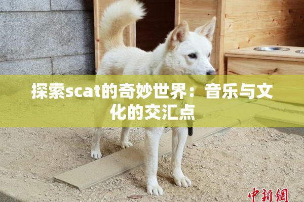 探索scat的奇妙世界：音乐与文化的交汇点