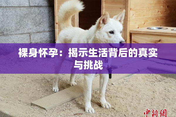 裸身怀孕：揭示生活背后的真实与挑战