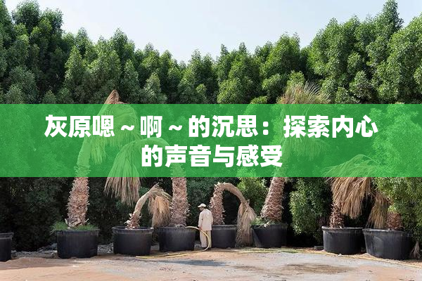 灰原嗯～啊～的沉思：探索内心的声音与感受