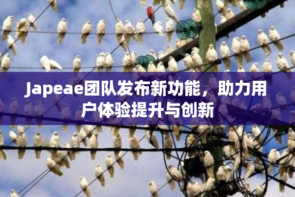 Japeae团队发布新功能，助力用户体验提升与创新